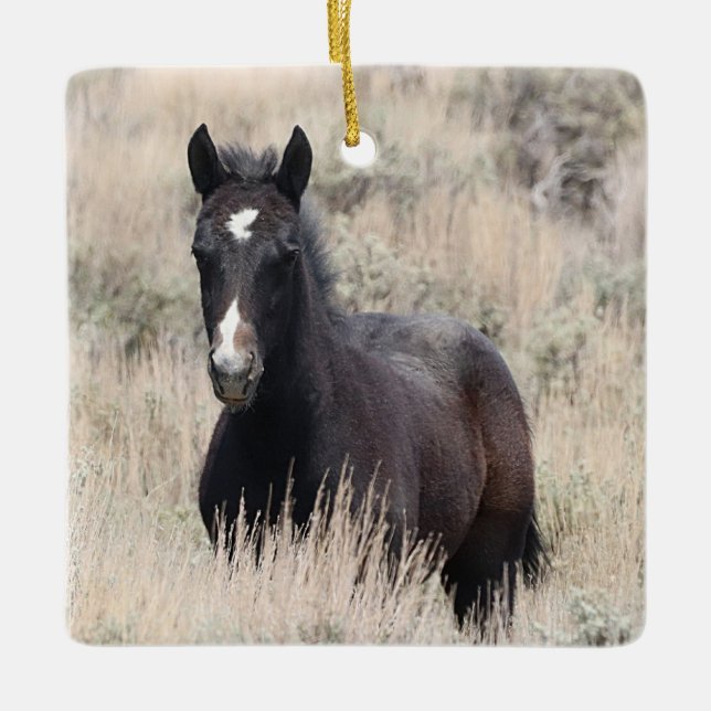 Sand Tvätta Basin Vild Horses Ceramic Ornamic Julgransprydnad Keramik (Framsida)