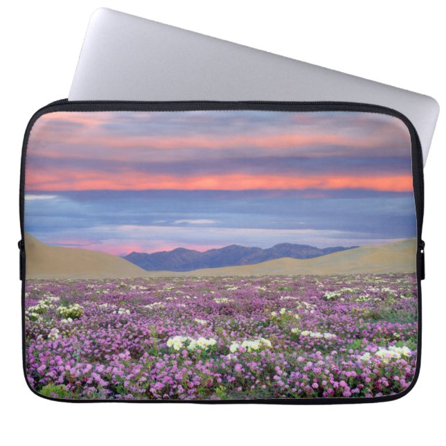Sand Verbena & Dune Primrose Vilda blommor vid sol Laptop Fodral (Framsidan)