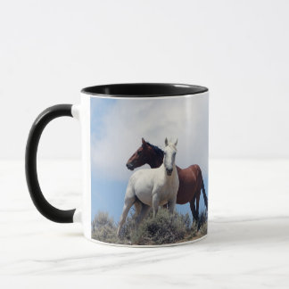 Sand Wash Basin Mugg