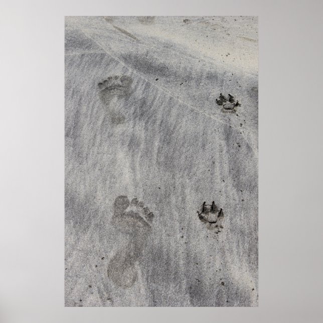 Sand Writen kärlek Poster (Framsidan)