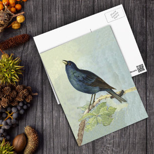 Sändande Blackbird Watercolor PostCard Vykort