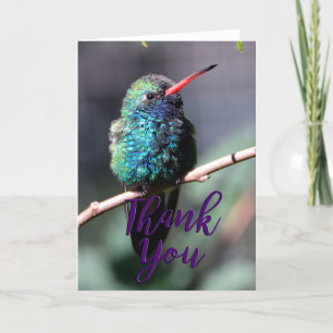 Sändat Hummingbird Photo - tackkort