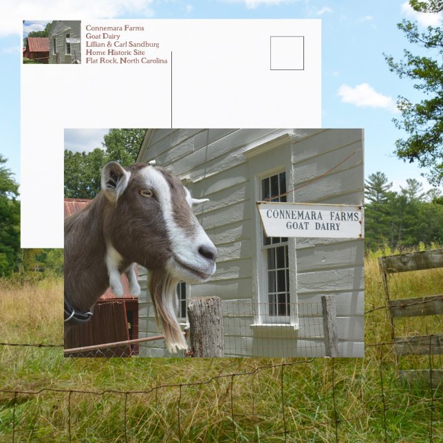 Sandburg Connemara Farms Goat Dairy Photographic Vykort (Skapare uppladdad)