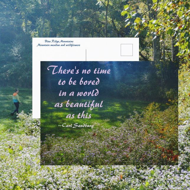 Sandburgcitatet för bergsbergen Fält Blue Ridge Mo Vykort (Skapare uppladdad)