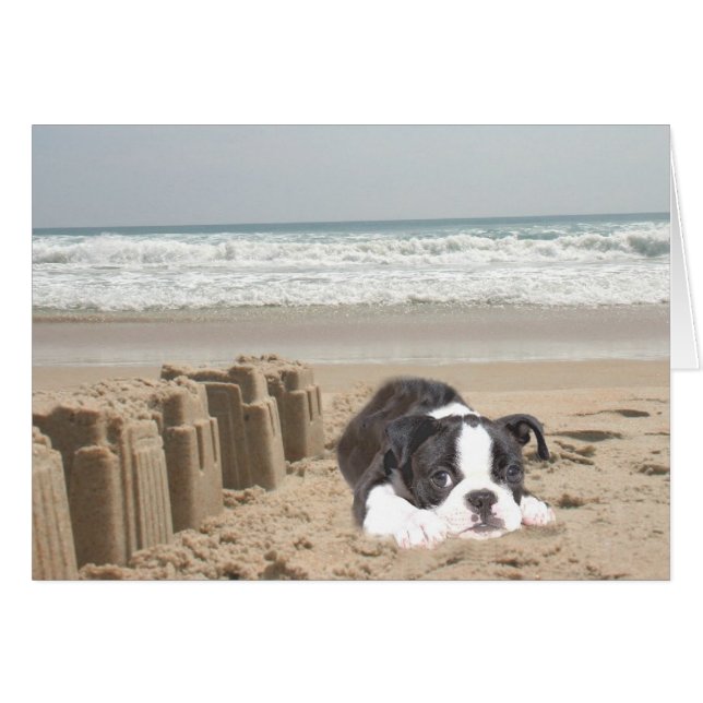 Sandcastles Boston Terrier Card Hälsningskort (Framsidan Horizontal)