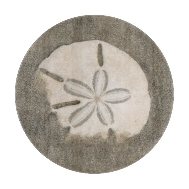 Sanddollar (Echinarachnius parma) (Framsidan)