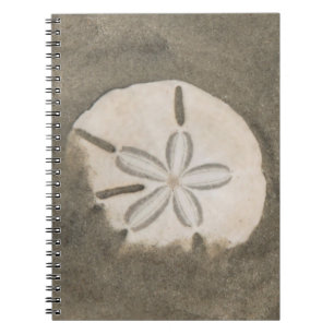 Sanddollar (Echinarachnius parma) Anteckningsbok