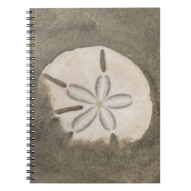 Sanddollar (Echinarachnius parma) Anteckningsbok (Framsidan)