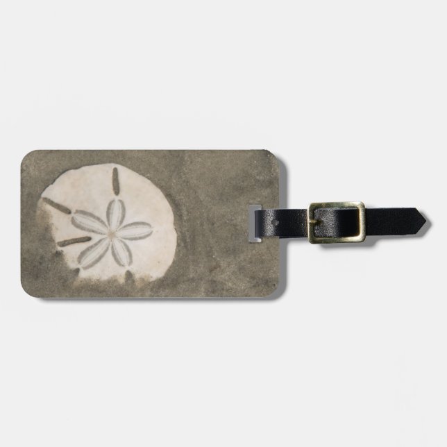 Sanddollar (Echinarachnius parma) Bagagebricka (Horisontell Framsida)