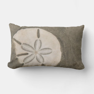 Sanddollar (Echinarachnius parma) Lumbarkudde