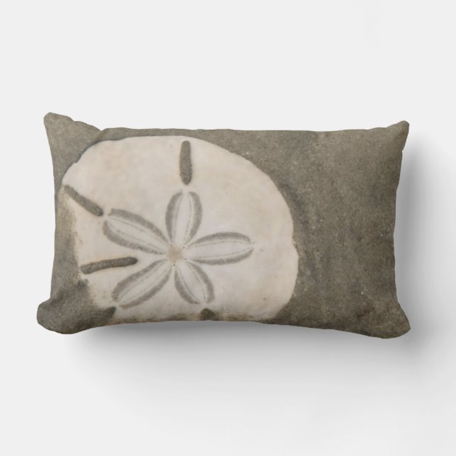 Sanddollar (Echinarachnius parma) Lumbarkudde (Framsida)