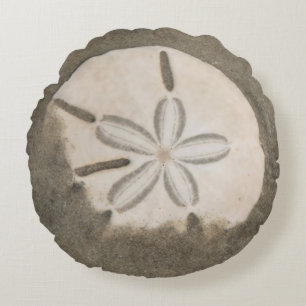 Sanddollar (Echinarachnius parma) Rund Kudde