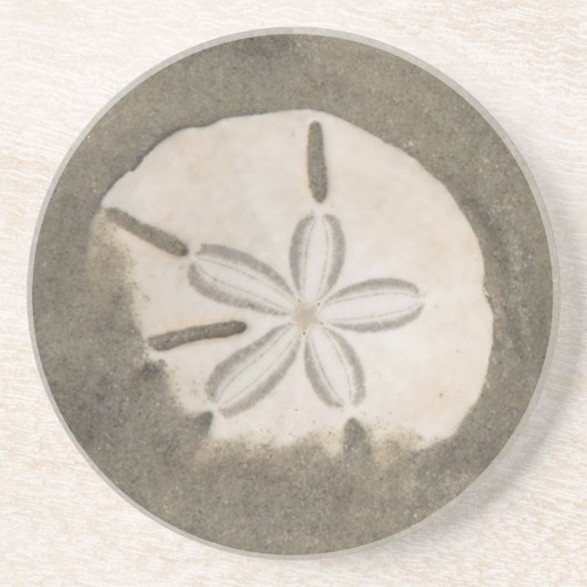 Sanddollar (Echinarachnius parma) Underlägg (Framsidan)