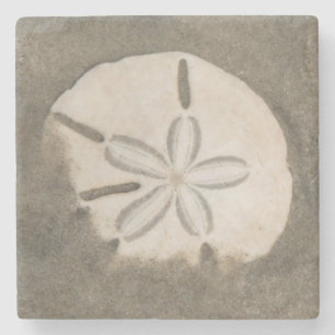 Sanddollar (Echinarachnius parma) Underlägg Sten