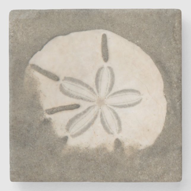 Sanddollar (Echinarachnius parma) Underlägg Sten (Framsidan)
