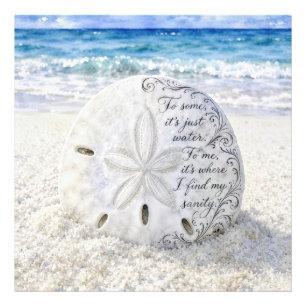 Sanddollar med inspirerande citat fototryck