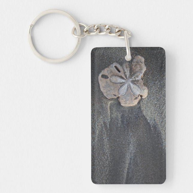 Sanddollar på sand (Framsidan)