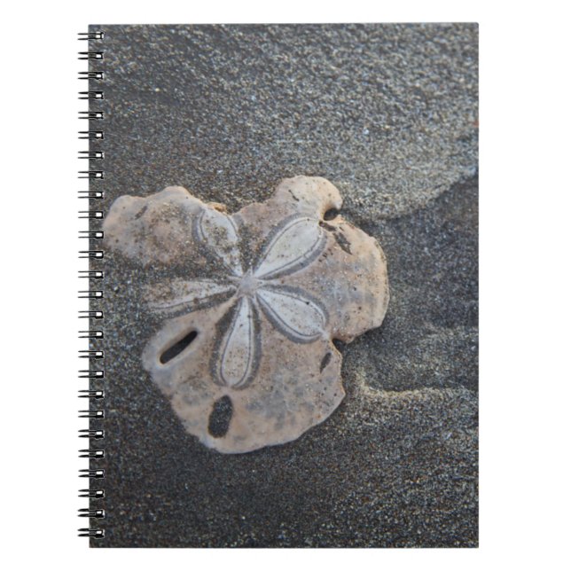 Sanddollar på sand anteckningsbok med spiral (Framsidan)