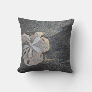 Sanddollar på sand kudde