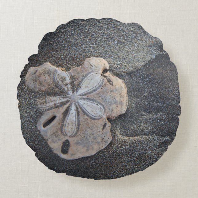 Sanddollar på sand rund kudde (Framsidan)