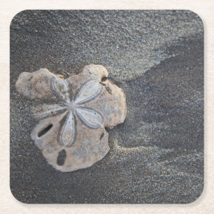 Sanddollar på sand underlägg papper kvadrat