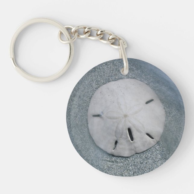 Sanddollar på strand | Sanibel Island, Florida (Framsidan)
