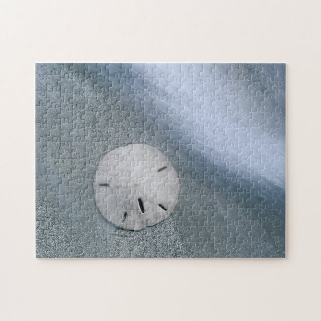Sanddollar på strand | Sanibel Island, Florida Pussel (Horisontell)