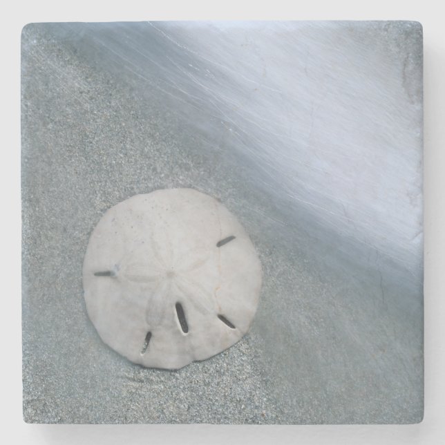 Sanddollar på strand | Sanibel Island, Florida Stenunderlägg (Framsidan)