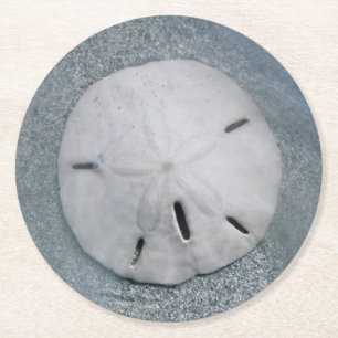 Sanddollar på strand Sanibel Island, Florida Underlägg Papper Rund