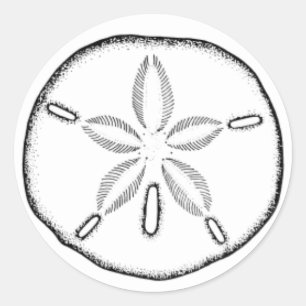 sanddollar runt klistermärke
