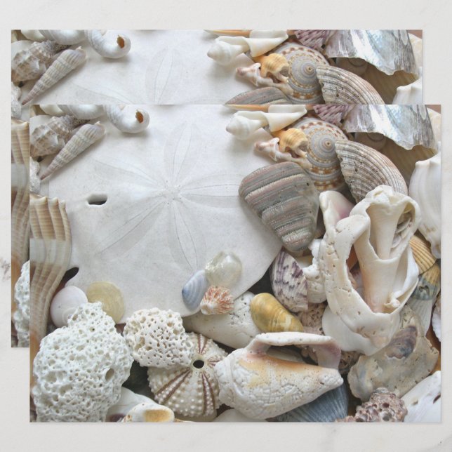 Sanddollar Snigelskal Scrapbokspapper (Fram/baksida)