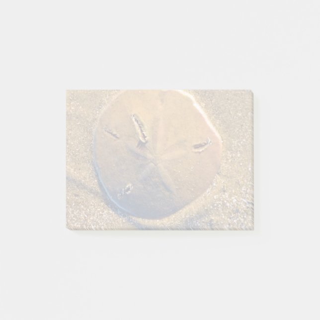 Sanddollar som avslöjs på strand | Hilton Head Post-it Block (Framsida)
