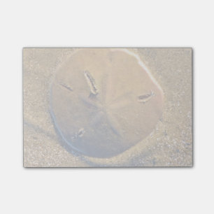 Sanddollar som avslöjs på strand Hilton Head Post-it Block