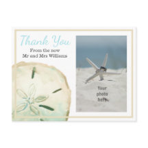 Sanddollar Tack Strand Foto