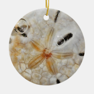 Sanddollar under vatten julgransprydnad keramik