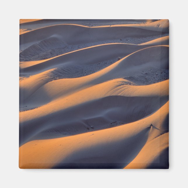 Sanddyn Abstrakt Magnet (Framsidan)