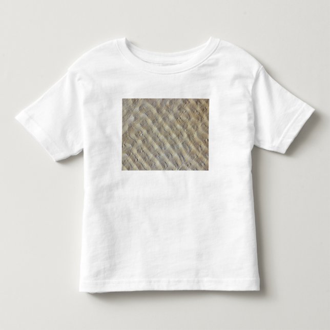 Sanddyner i Fachi-Bilma-erg Tee Shirt (Framsida)