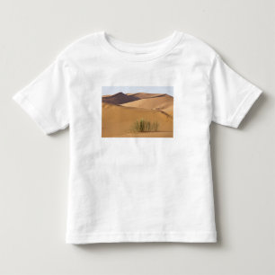 Sanddyner, Saharaöknen, Marocko Tee