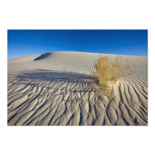 Sanddyner vid White Sands National Monument i 3 Fototryck