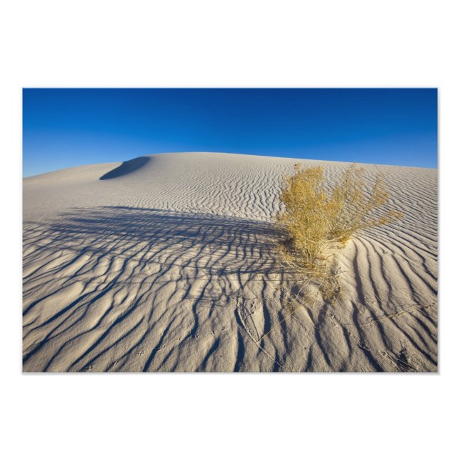 Sanddyner vid White Sands National Monument i 3 Fototryck (Framsidan)