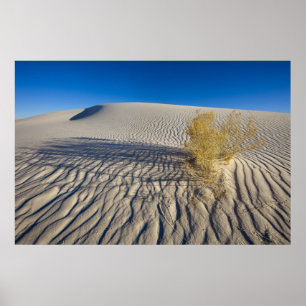 Sanddyner vid White Sands National Monument i 3 Poster