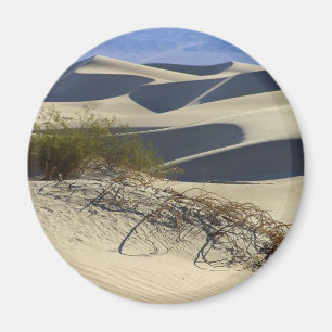 Sanddynöken Magnet