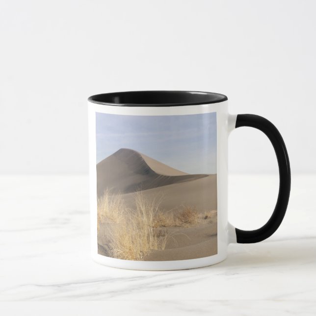 Sanddynsformationer. Bruneau Dunes State Park 2 Mugg (Höger)