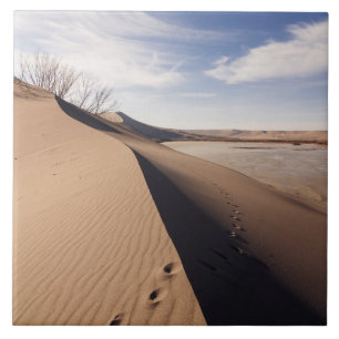 Sanddynsformationer. Bruneau Dunes State Park Kakelplatta