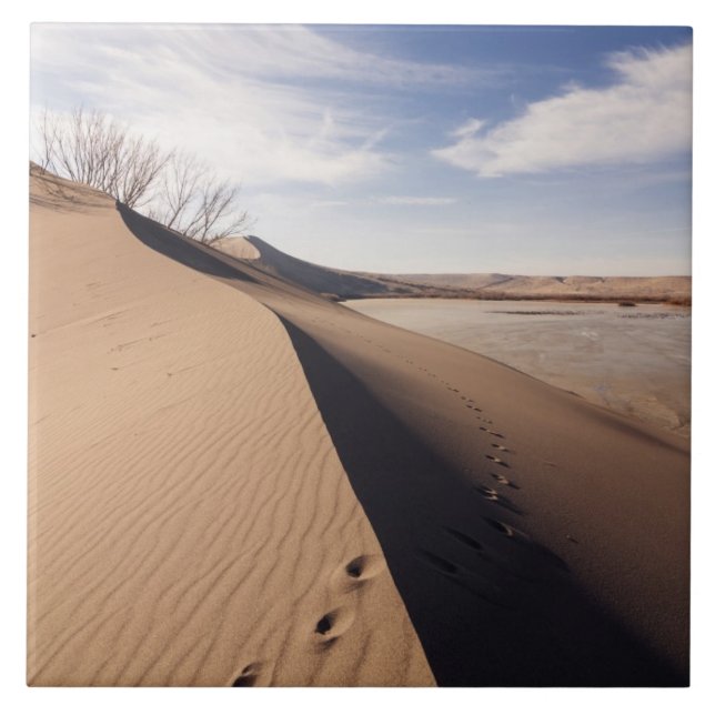 Sanddynsformationer. Bruneau Dunes State Park Kakelplatta (Framsidan)