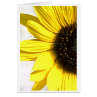 Sänder lite solsken hälsningskort