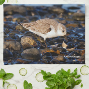 Sanderling Dines på Clam vid Beach Kökshandduk