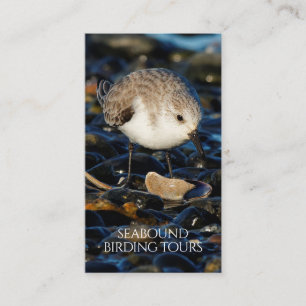 Sanderling Fågelskådning / Natur Tours Visitkort