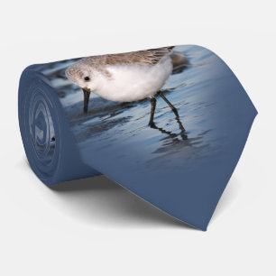 Sanderling Strullande på en vinter Beach Slips