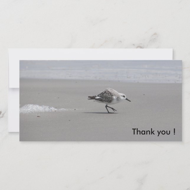 Sanderling, tacka dig! tack kort (Framsida)